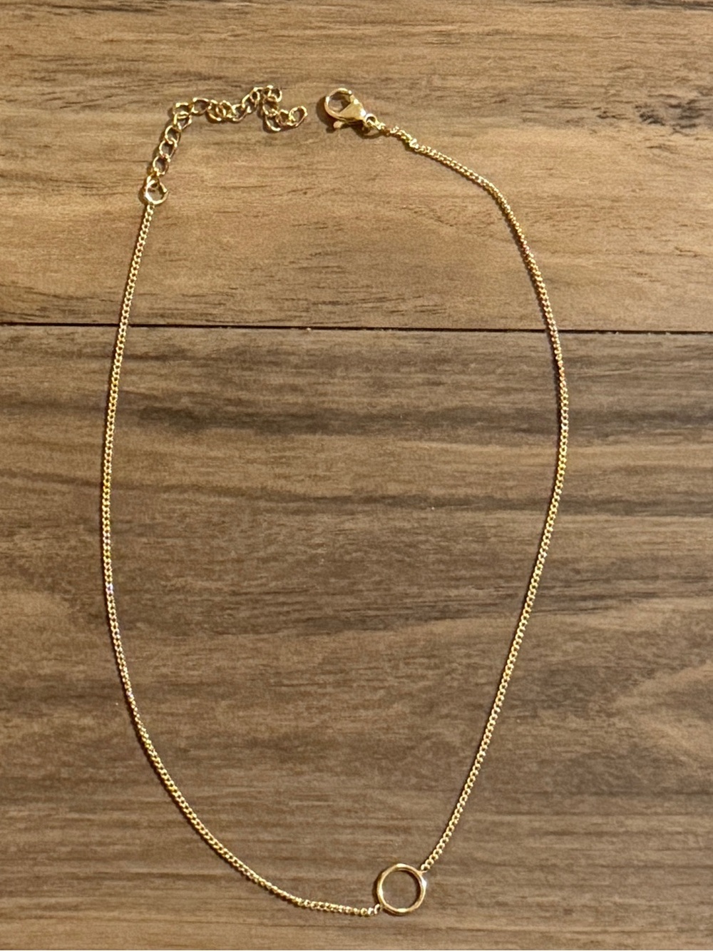 Delicate Gold Circle Pendant Necklace - Women Jewelry